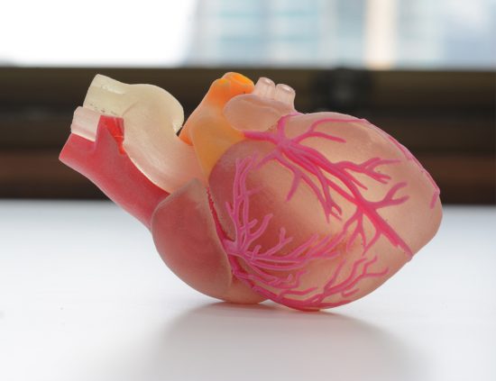 polyjet heart